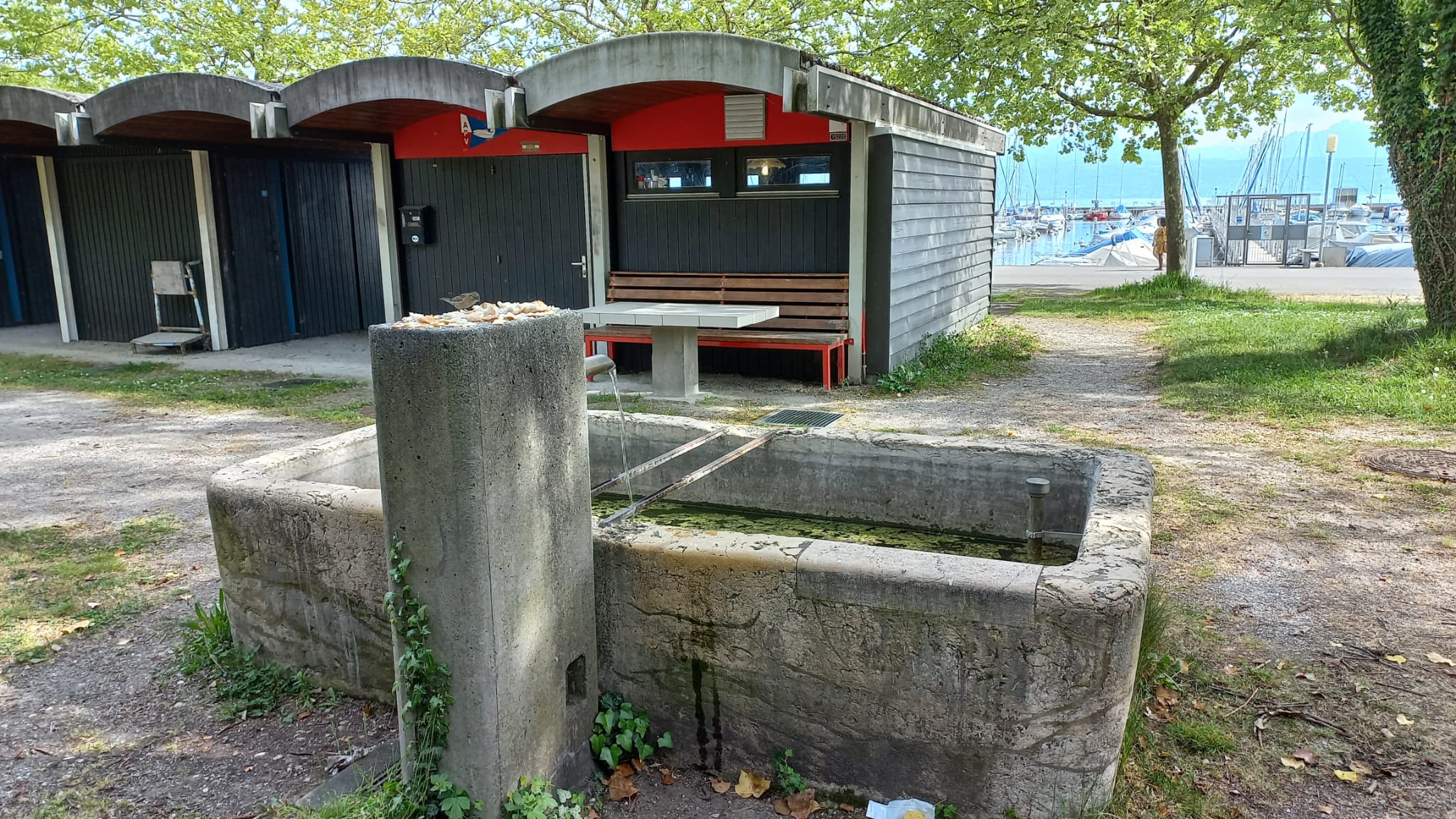 Extérieur du club