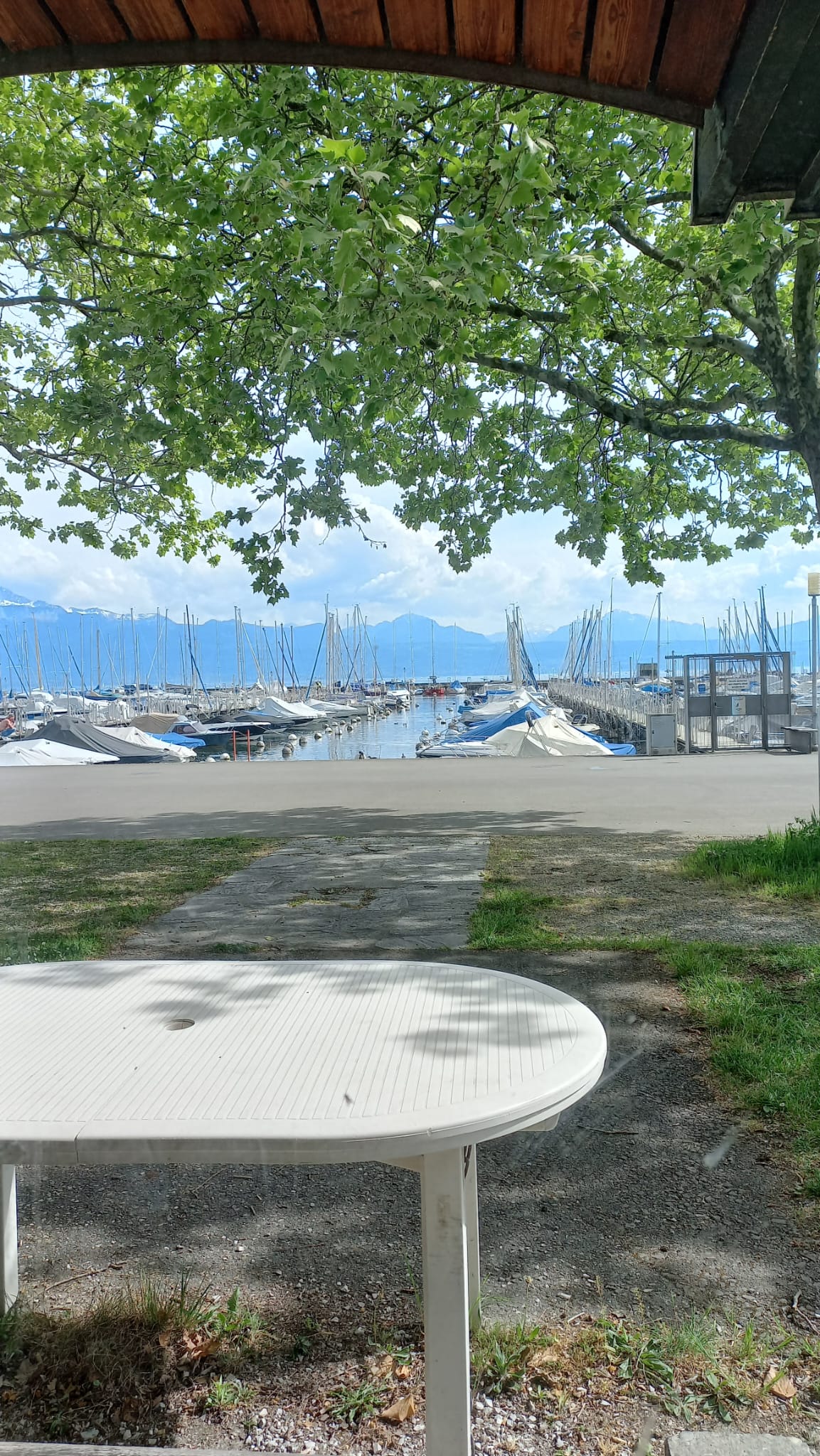 Vue sur le port